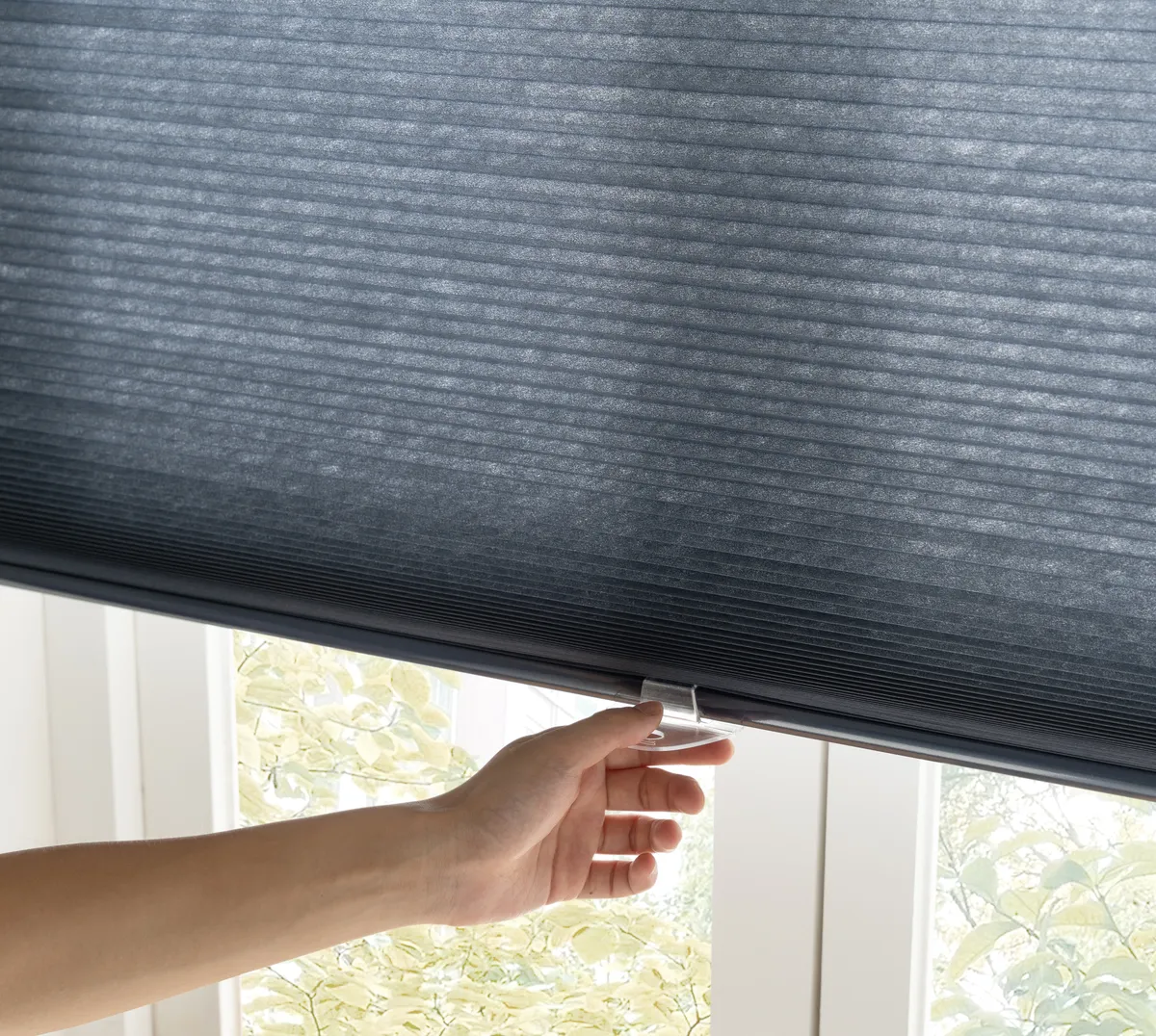 Cordless Cellular Shades